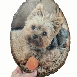Vintage Yorkie Art, Rustic Decor, Cottage Core